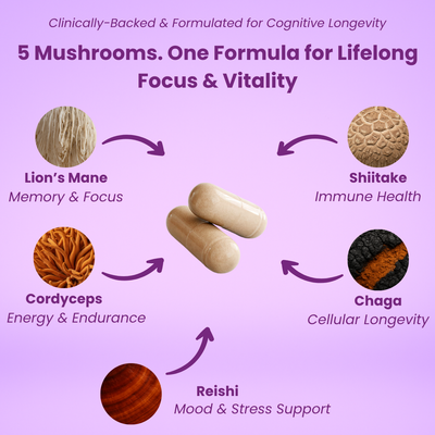 NeuroGuard™ Mushroom Complex